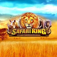 Safari King screenshot